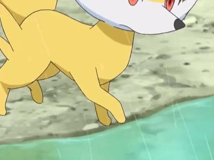 精灵宝可梦XY第五季第21话 :莎莉娜与火狐狸的神奇宝贝短片 正式上演#神奇宝贝 #精灵宝可梦 (4⃣️)