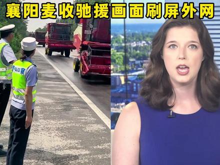雨口夺粮!襄阳麦收驰援画面刷屏外网,这就是中国独有的团结力量 #抢收 #团结 #创作者扶持计划