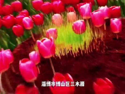 春天把最美的请柬,寄到了淄博博山,三水源花朝节3.28正式开启!花期持续至5月中旬。不负春光,来山东共赴浪漫! #山东DOU是好风光 #好客山东和TA的朋友们 #好客山东 #好客山东小城故事的话题#发现宝藏山东