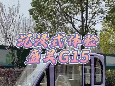 沉浸式体验盛昊G15~#二十年国民速腾新体验 #三蹦子 #三轮车