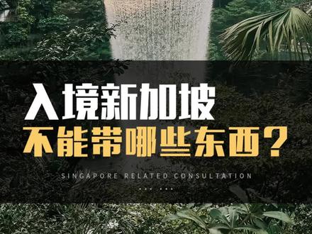 入境新加坡不能带哪些东西? #新加坡 #入境 #严禁