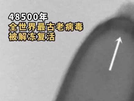 全世界最古老的病毒被解冻复活,对于人来说是病毒,对地球和整个自然环境来说可能是它们的免疫系统启动了! #病毒