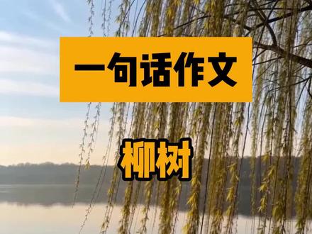 一句话作文《柳树》#小升初语文#作文 @新乡语文李老师