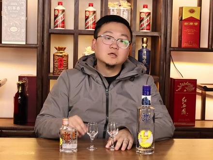 顺品郎蓝顺VS小郎酒,你更喜欢哪一款? #口粮酒 #兼香型白酒 #顺品郎 #小郎酒 #白酒对比品鉴