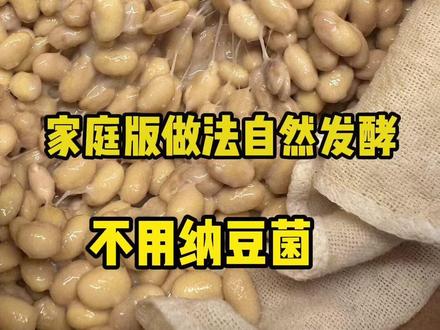 没有辣椒和姜沫的纳豆是没有灵魂滴 #纳豆激酶 #纳豆教程 #酱豆子 #发酵 #自己做美食