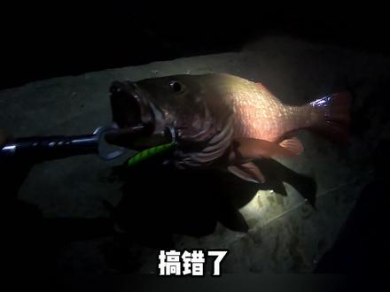 高温下防波堤鱼在哪,米诺6个小时一无所获,换小胖子一杆上大鱼