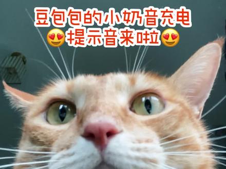 😍你们要的豆包包充电提示音来啦!最后还补充了你们喜欢的啊欧欧😂