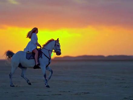 福建板块“双子星”?陈小群左手航天发展,右手龙洲股份的算盘 #抖音精选 #干货分享 #知识分享 #热点