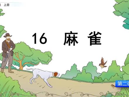 课文讲解-语文-4上-16 麻雀(第2课时)