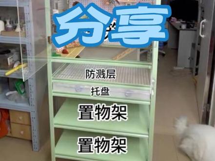 你们要的手搓diy鸟笼视频来了,一起给小鸡做大别墅~#diy鸟笼 #玄凤鹦鹉