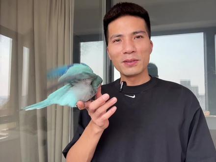 你们都给鹦鹉喝什么水?#养鸟经验分享 #鹦鹉小白 #鹦鹉鹦鹉萌萌哒逗鹦鹉 #新手养宠