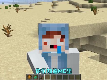我的世界:那些曾被官方删除的角色,形象竟类似迷你世界? #我的世界 #沙盒游戏 #mc