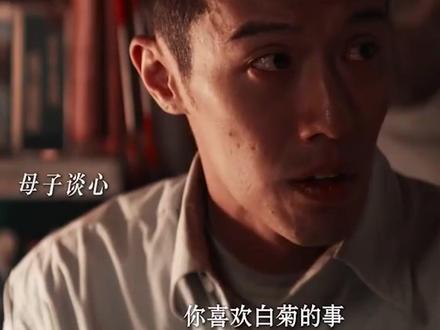 白椿真实身份曝光,白菊卧底干翻李永强,孟耀辉才是最大BOSS #生命树 #生命树有问必答 #杨紫 #胡歌 #袁弘