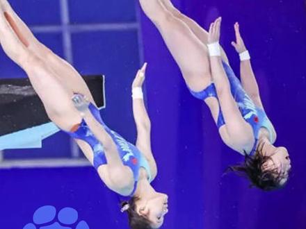 11月6日,陈芋汐/掌敏洁5跳全部第一夺冠,全红婵/王伟莹排名第5!媒体评:肌贴遮不住锋芒,拼搏比金牌更滚烫!#媒体精选计划 #大象主播说