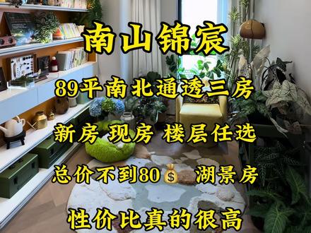 光谷民族大道捡漏新房、现房即买即住!南山锦宸89平南北通透湖景小三房总价不到80💰,性价比很高#房产 #买房 #新房 #现房 #今日优质房源实景拍摄