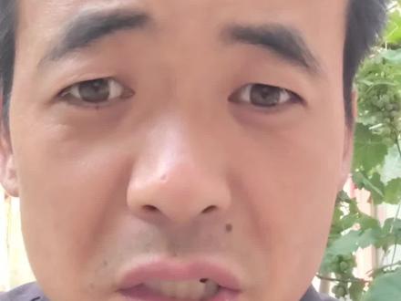 酸枣崩盘#酸枣#万万没想到 #你手里还有多少酸枣