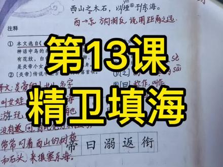 四年级上册语文第13课《精卫填海》重点解析#课堂笔记