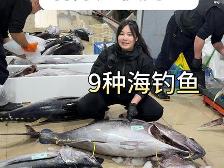 刺身店惯用的9种海钓鱼,价值多少! 其中有黄鳍金枪鱼、烟管鱼、红油鱼、甘鲷、黄鸡鱼
#海鲜批发 #海鲜批发供应 #黄鳍金枪鱼 #海钓鱼刺身 #海钓