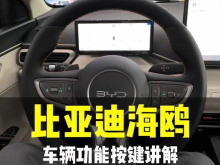 刚提了海鸥,车的按键不会用的学起来#比亚迪#比亚迪海鸥#闪充太快怎么办#嗨购五月海洋有礼