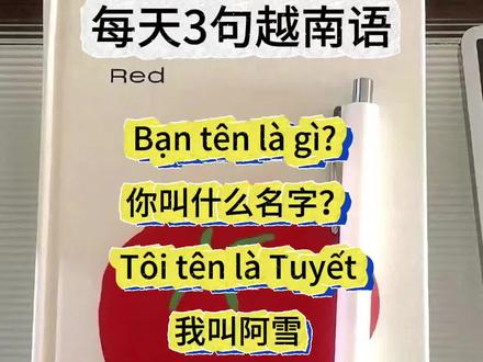 每天3句越南语 你的名字用越南语怎么说?#越南语发音 #越南语在线学习 #越南语学习资料