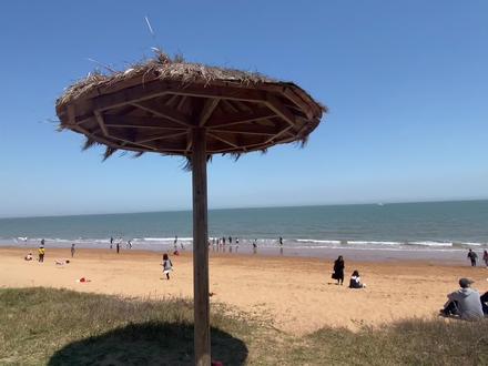 去不了西藏,去不了云南,去不了三亚,总要去漯河 转转吧#一起看海