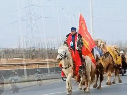 东天山骆驼队重走丝绸之路@DOU+小助手