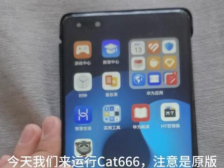 运行Cat666#myhorror #手机病毒 @会说话的汤姆猫