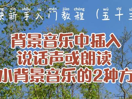 剪映新手入门 在背景音乐中插入人声或朗读 调小背景音乐2种方法