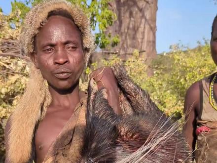 鲜嫩无比的豪猪肉,吃了还想要 #原始部落 #非洲生活