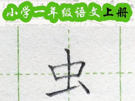 小学一年级语文上册生字“虫” #练字#写字#一年级#硬笔@抖音小助手 一起练字吧