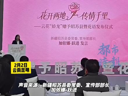 #娇龙月季今日赠予昭苏!此刻让我们接“娇龙”回家!#有一种叫云南的生活 #娇龙月季