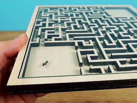 无心插柳 无心插柳 插柳 无心 …来……#樊登读书 #太傻天书 #奇迹课程 #与神对话