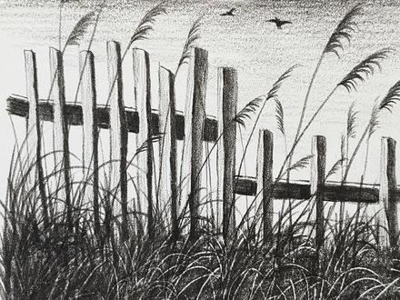 重生之我在抖音教画画! #风景画 #跟着抖音学画画 #绘画教程 #素描 #炭笔画