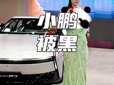 没想到小鹏刚火起来就被黑了#小鹏汽车