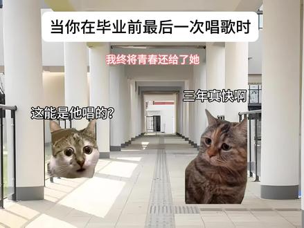 “当你在毕业前做后一次唱歌”#猫meme #青春#起风了
