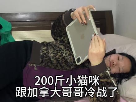 加拿大哥哥这次真的惹小猫咪生气了 #日常vlog #网恋 #日常分享