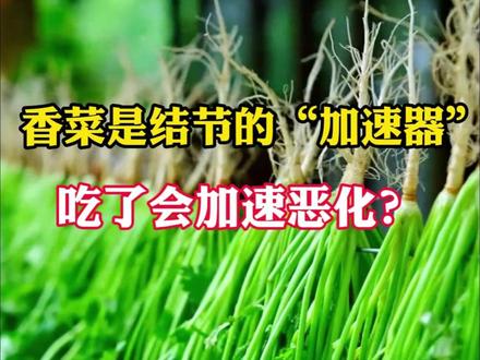 香菜是结节的“加速器”吃了会加速恶化?真正要少吃的是这三类食物#科普一下