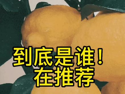看完这篇文我真的累了 有好看的古言推荐吗 男女主智商在线那种
#古言推荐 #网文吐槽 #吐槽 #嫡长女她又美又飒
