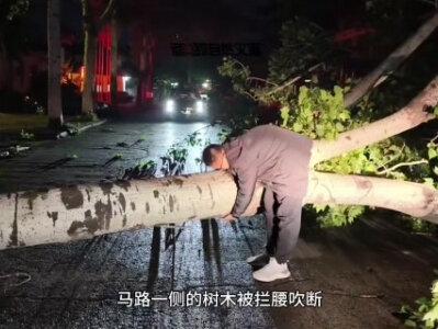 临沂狂风舟山伤
(一切来源网络)
文/风
临沂:古名琅琊,地处鲁南沂蒙腹地;
舟山:古名昌国,坐落浙东东海群岛。
两地遥隔千里,一陆一海,昨夜同遭狂风肆虐。
昨夜狂飙震八荒,
琅琊万壑卷山冈。
昌国沧海腾狂浪,
浩宇呼号势莽苍。
峻岭乔松连根折,
村居碎瓦漫天扬。
乾坤风雨本无意,
惟愿人间少祸伤。
2026年5月4日 星期一
沭阳天气:晴 气温13℃/23℃