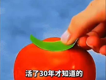 榨汁机刀片生锈钝了,这样做,刀片又变锋利了。#生活窍门 #涨知识 #小妙招 #小技巧 #实用小妙招