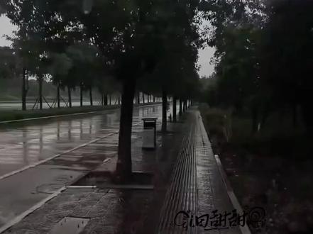 我们知道的,你永远挡在我们前面,默默做了很多我们不知道的事情,总是把我们保护得很好😭 @𝑇.甜崽ᵀᶻ⁷ #听潮阁甜崽 #群星之约甜崽 #甜赐良缘 #听潮阁二创