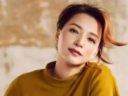 满腹诗书的才女高水平夸赞,#董卿 都被夸得脸红了!腹有诗书气自华,说的就是以诗词为心!#诗词 #气质