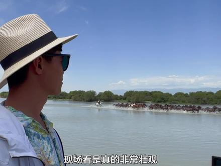 新疆最值得花门票的景点是哪里?当我亲眼看到天马浴河的场景,我想这里就是最值得来的景点,昭苏湿地公园。天马浴河攻略都给你们整理好了快收藏吧#天马浴河 #总要去一趟新疆吧 #我把新疆拍给你看 #旅行大玩家