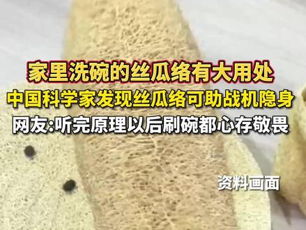 家里洗碗的丝瓜络有大用处!中国科学家发现丝瓜络可助战机隐身,网友:听完原理以后刷碗都心存敬畏。#丝瓜络 #战斗机 #科普 (编辑:星星)