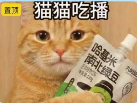 萌宠吃播视频拆解,小白也能轻松学会的视频教程#ai创作浪潮计划 #ai视频 #ai教程 #干货分享 #爆款拆解