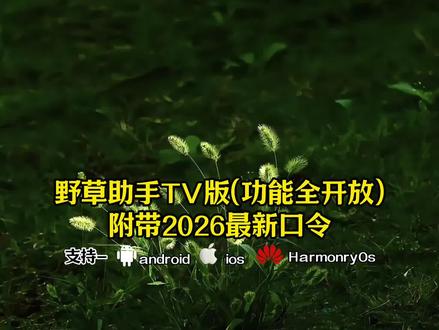 《初初云库》野草助手Tv版获取安装教程来啦 #野草助手 #野草助手怎么下载 #野草助手分享码 #野草助手口令