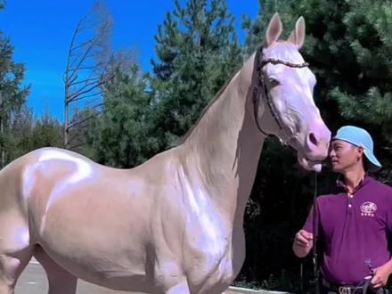 盘点几种顶级好马,祝各位老板马到成功 ,马上有钱!#科普 #马 #马到成功 #汗血宝马