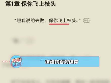 《攀高枝》实体书来了!独家番外+限量特签,把张知序的偏爱捧回家!#攀高枝 #不攀高枝也能自成高枝 #攀高枝是假搞事业是真 #小说推荐 #必看小说