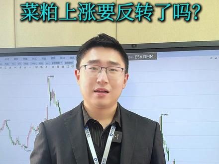 1分钟搞清楚,菜粕这波上涨是反弹还是反转 #菜粕 #行情分析 #贸易 #关税 #大宗商品