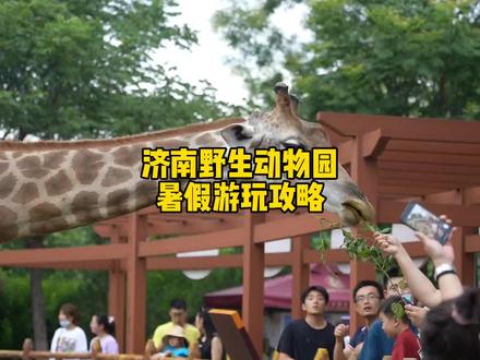 济南野生动物园暑假游玩攻略,准备带孩子来玩的可以看看#好好旅行节 #暑假嗨玩计划 #暑假出逃计划 #暑假就该这么玩 #济南野生动物世界